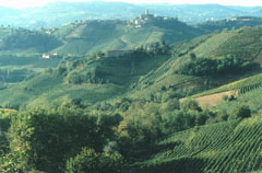 Barolo area in Piedmont, Italy