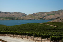 Spectacular view of Lake Chelan from Benson Vineyards Estate Winery