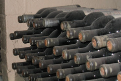 Dusty, old wine bottles